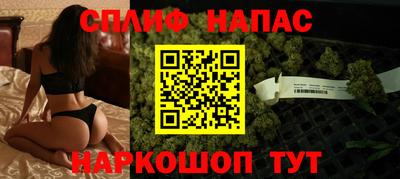 СК Будённовск