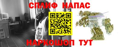мяу мяу мука Бугуруслан