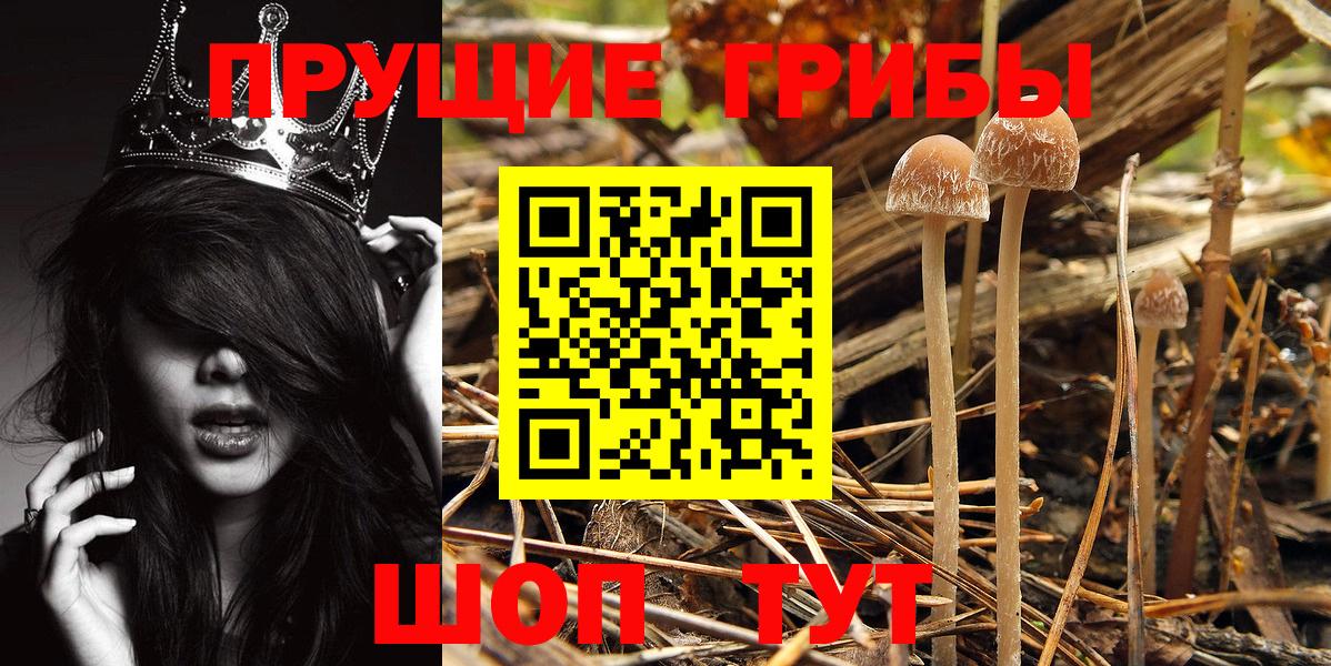 Холмск  Псилоцибиновые грибы Magic Shrooms  Вход с VPN 